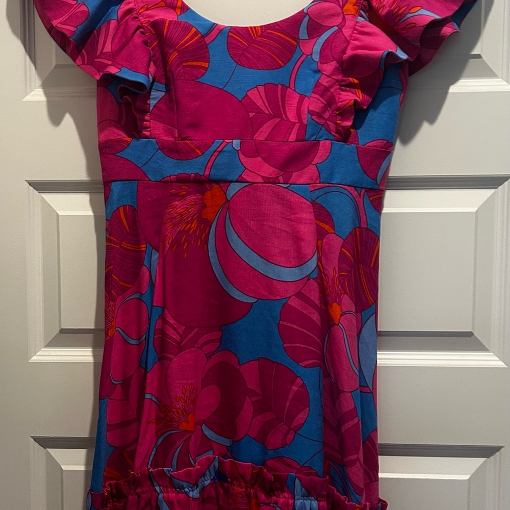 Tuckernuck x Cameron Eunanks Wimberly Vibrant Pink and Blue Dress